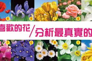 神準！【花語測驗】挑一朵花揭露最真實的你！