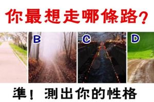 爆準！【心理測試】你最想走哪條路？測出你真實的性格！