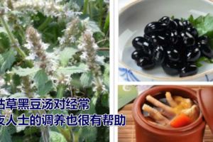 夏枯草的藥用價值是什麼？夏枯草黑豆湯對經常熬夜人士的調養也很有幫助