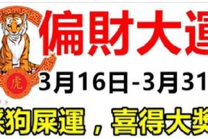 必中大獎！3月16日到月底，15天內就能迎來偏財大運的生肖！