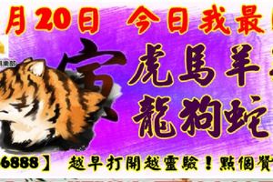 3月20日，今日我最旺！虎馬羊雞龍狗蛇·牛！【66888】越早打開越靈驗！點個贊吧！