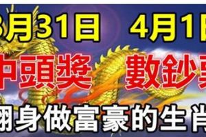 3月31日中頭獎，4月1日數鈔票！大運連連，財運沖天的生肖！