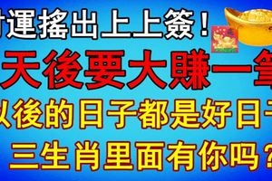 財運搖出上上簽！3生肖7天後要大賺一筆，以後的日子都是好日子