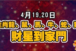 4月19.20日，生肖龍、鼠、馬、牛、蛇、豬財星到家門！