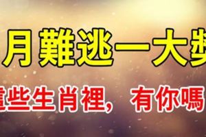 5月被財神盯上，天降橫財多，這些生肖難逃一大獎！