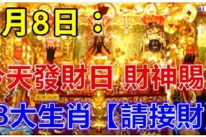 今天5月8日發財日。財神爺賜財，8大生肖【請接財】