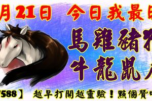 6月21日，今日我最旺！馬雞豬猴牛龍鼠虎！【17588】越早打開越靈驗！點個贊吧！