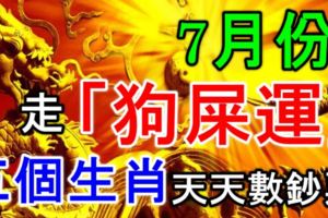 7月份，走了「狗屎運」的五個生肖，天天數鈔票！