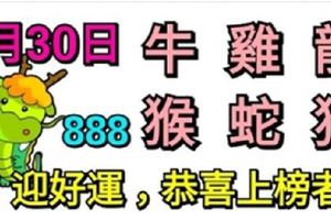 6月30日生肖運勢_牛、雞、龍大吉