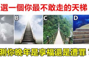 選一個你最不敢走的天梯，測你晚年是享福還是遭罪？