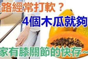 朋友告訴爸爸走路經常腿打軟？4個木瓜有效減輕膝關節炎