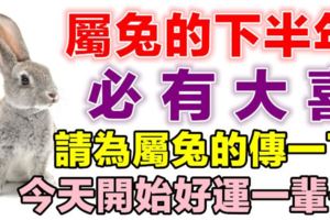 屬兔的人，下半年必有大喜，你家裡人有屬兔的嗎，請為屬兔的傳一下，今天開始*好運一輩子*！