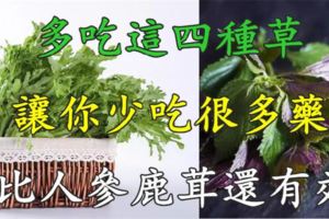 平日多吃這四種草，能讓你少吃很多藥，比人蔘鹿茸還有效！