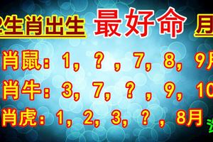 12生肖出生在哪些月份最好命?財運特旺！