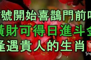 16號開始喜鵲門前叫，橫財可得，日進斗金，逢遇貴人的生肖！