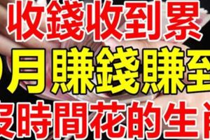 收錢收到累，9月賺錢賺到沒時間花的6大生肖