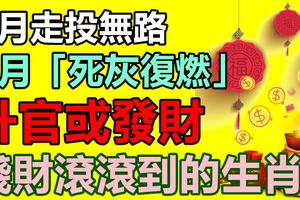 8月走投無路，9月「死灰復燃」！陞官或發財，錢財滾滾到的生肖