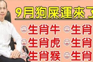 算命先生說，這六大屬相，9月狗屎運來了旺旺旺