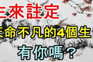 生來註定天命不凡的4個生肖，有你嗎？