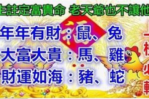 這6個生肖，天生註定富貴命，老天爺也不讓他窮