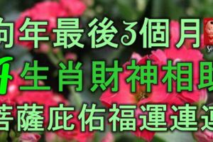 狗年最後3個月，4大生肖財神相助，菩薩庇佑，財運興旺福運連連！