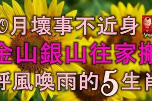 10月壞事不近身，金山銀山往家搬，呼風喚雨的5生肖！