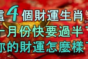 這4個財運生肖，十月份快要過半了，你的財運怎麼樣了？