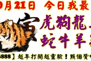 10月21日，今日我最旺！虎狗龍馬蛇牛羊雞！【23888】越早打開月靈驗！點個贊吧！