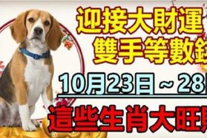 迎接大財運，10月22日～28日，這些生肖大旺財