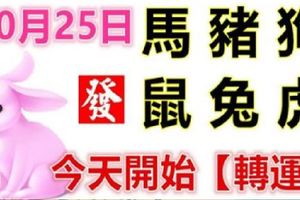 10月25日生肖運勢_馬、豬、狗大吉