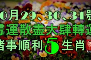 10月29、30、31號黴運散盡，大肆轉運，諸事順利，成功有望的5大生肖！