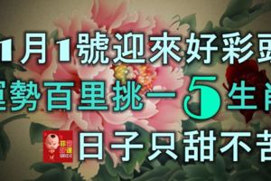 11月1號迎來好彩頭，運勢百裡挑一的5大生肖，日子只甜不苦！