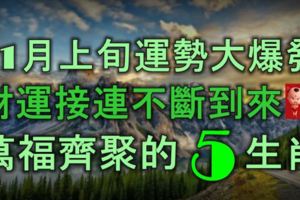 11月上旬運勢大爆發，財運接連不斷到來，萬福齊聚的5大生肖！