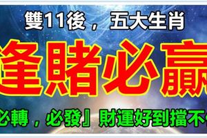 雙11後，五大生肖，逢賭必贏『必轉，必發』財運好到擋不住