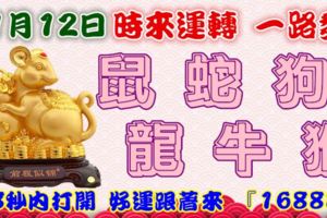 11月12日時來運轉一路發，鼠蛇狗龍牛猴，88秒內打開，好運跟著來『16888』