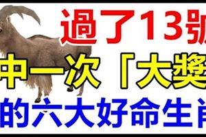 過了11月13號，這六大好命生肖，年底前必有天降橫財，中一次「大獎」！