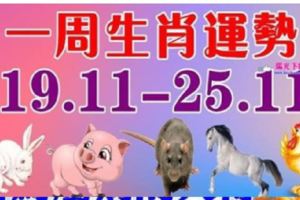 一周生肖運勢（19.11-25.11）