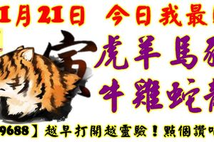 11月21日，今日我最旺！虎羊馬豬牛雞蛇龍！【99688】越早打開越靈驗！點個讚吧！