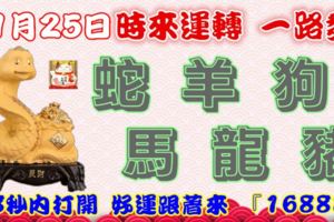 11月25日時來運轉一路發，蛇羊狗馬龍豬，88秒內打開，好運跟著來『16888』