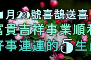 11月29號開始，喜鵲送喜，富貴吉祥，事業順利，好事連連的5大生肖！