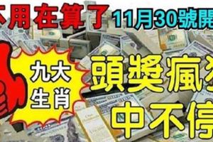 11月最後一天，9大生肖，頭獎瘋狂中不停