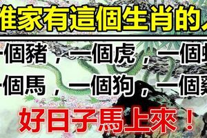 2019年六大福相：豬，虎，狗，雞，馬，蛇，好日子馬上來！