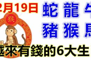 12月19日生肖運勢_蛇、龍、牛大吉