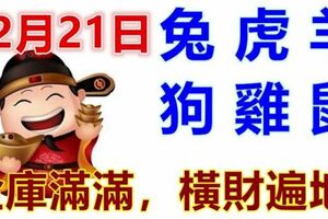 12月21日生肖運勢_兔、虎、羊大吉