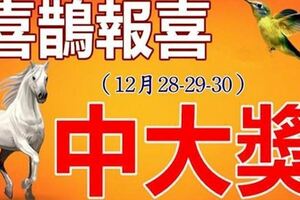 12月28,29,30號喜鵲報喜，財神臨門，橫財就手，中大獎，數大鈔的生肖