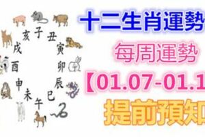 十二生肖運勢：每周運勢【01.07-01.13】提前預知！