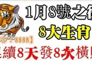 家中有此8大生肖，8號之後連續8天發8次橫財，接住了