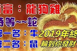 你家有生肖（龍狗雞蛇牛鼠）的人嗎？2019年終於輪到你發財了！有貴人相助，必然翻身