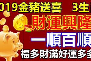 2019金豬送喜，3生肖財運興隆，一順百順，福多財滿好運多多！