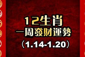 十二生肖一周運勢預報（1.14-1.20）